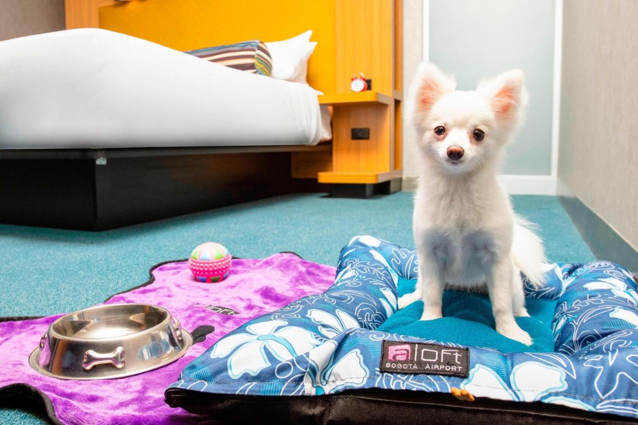 Aloft Bogotá Airport Bogota Airport Hotels photo: 5