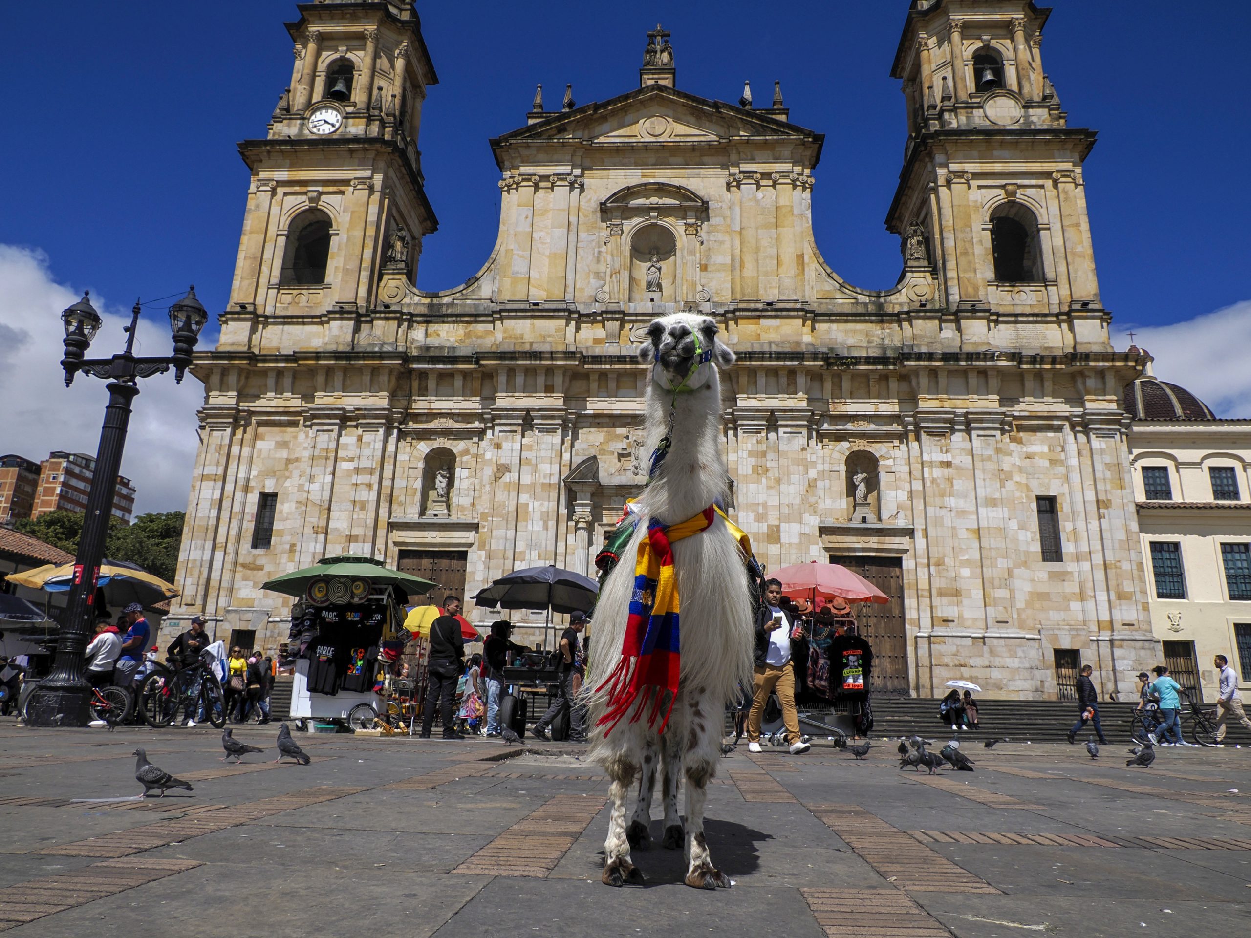 downtown bogota hotels